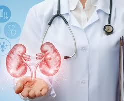 How Can the Best Nephrologist in Lucknow Help Protect Your Kidney Health?